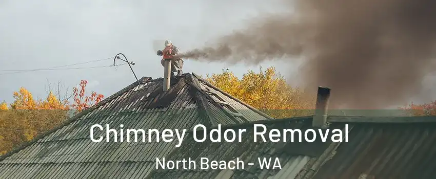 Chimney Odor Removal North Beach - WA