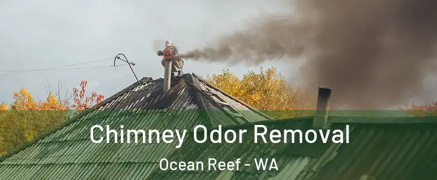 Chimney Odor Removal Ocean Reef - WA