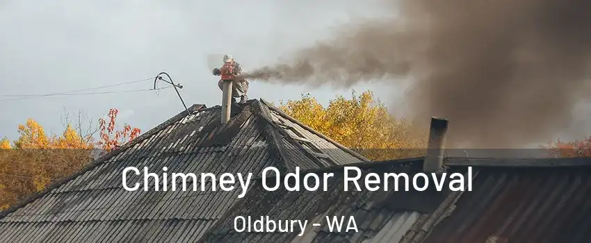 Chimney Odor Removal Oldbury - WA