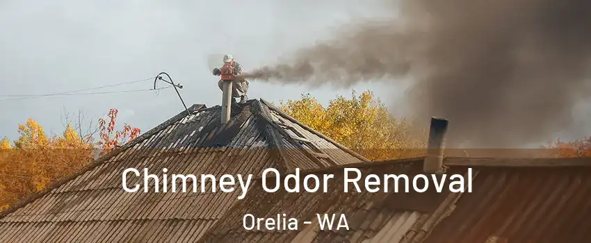 Chimney Odor Removal Orelia - WA