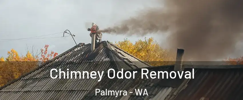 Chimney Odor Removal Palmyra - WA