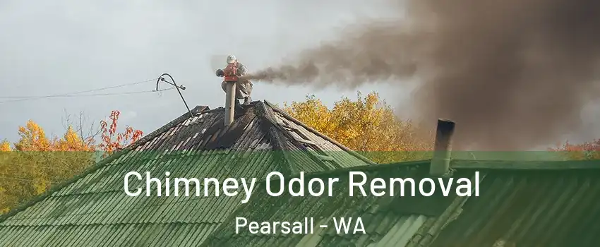 Chimney Odor Removal Pearsall - WA