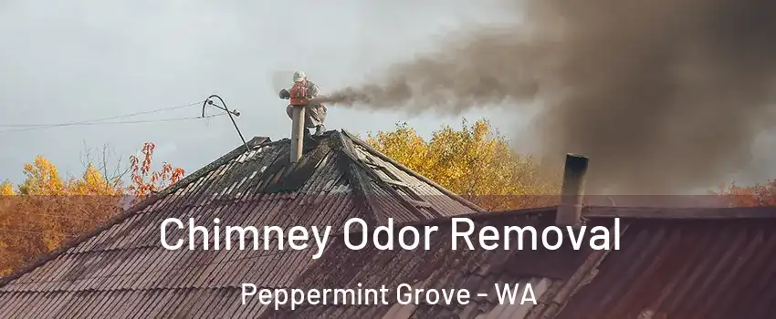 Chimney Odor Removal Peppermint Grove - WA