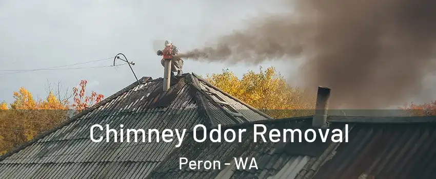 Chimney Odor Removal Peron - WA