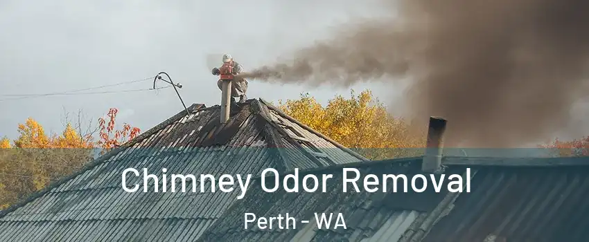 Chimney Odor Removal Perth - WA