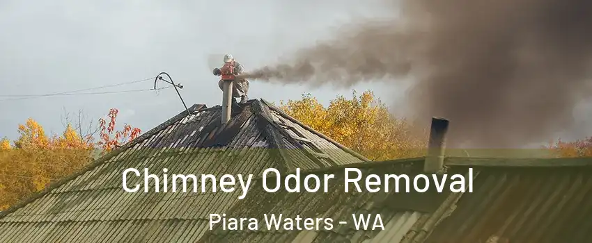 Chimney Odor Removal Piara Waters - WA