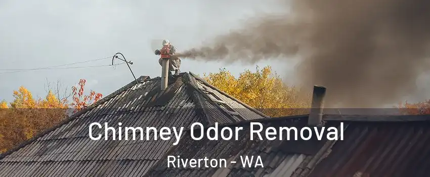 Chimney Odor Removal Riverton - WA