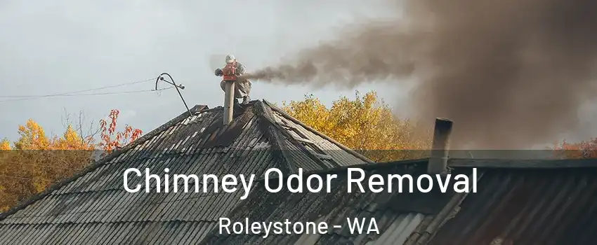 Chimney Odor Removal Roleystone - WA