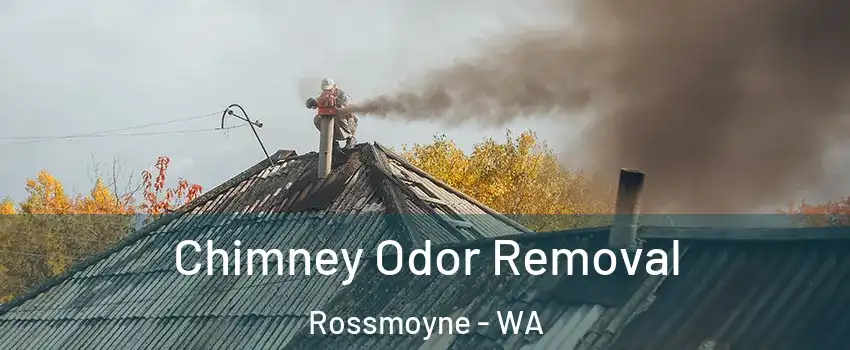Chimney Odor Removal Rossmoyne - WA