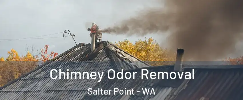 Chimney Odor Removal Salter Point - WA