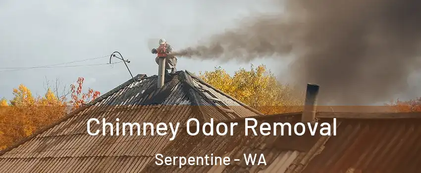 Chimney Odor Removal Serpentine - WA