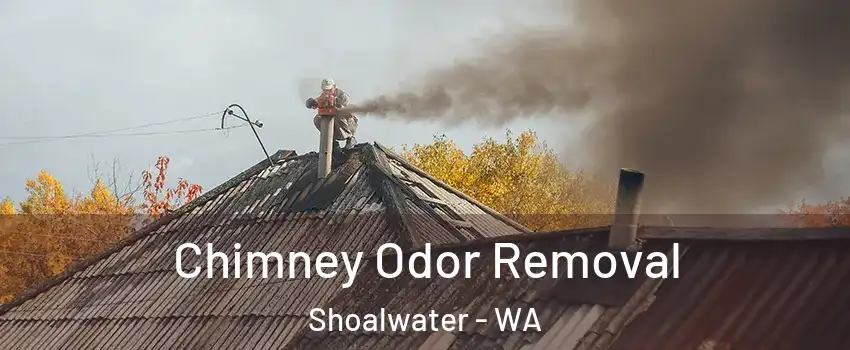 Chimney Odor Removal Shoalwater - WA