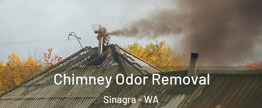 Chimney Odor Removal Sinagra - WA