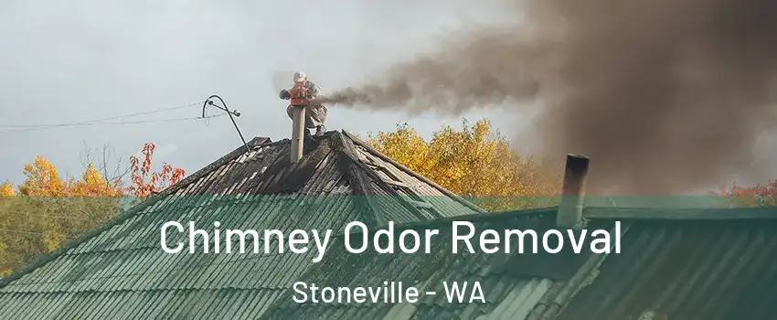 Chimney Odor Removal Stoneville - WA
