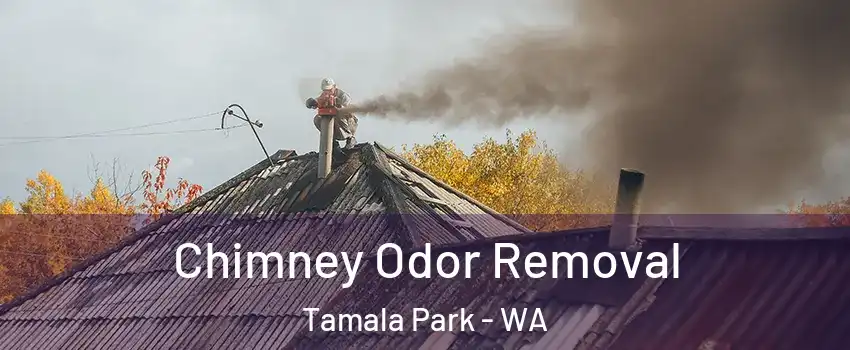 Chimney Odor Removal Tamala Park - WA