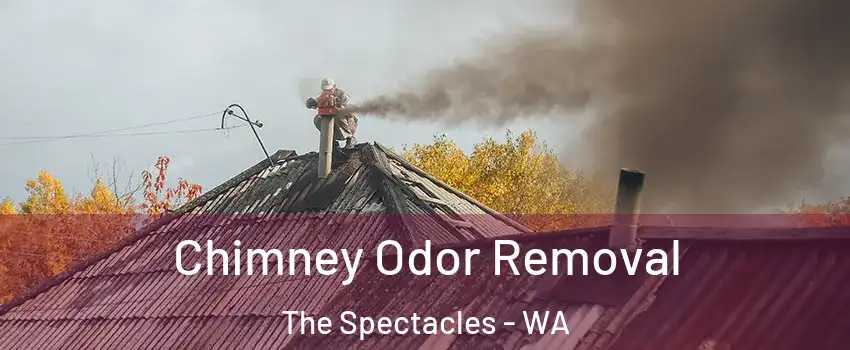 Chimney Odor Removal The Spectacles - WA