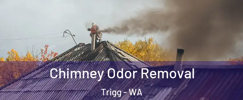 Chimney Odor Removal Trigg - WA