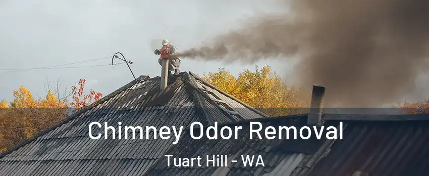 Chimney Odor Removal Tuart Hill - WA