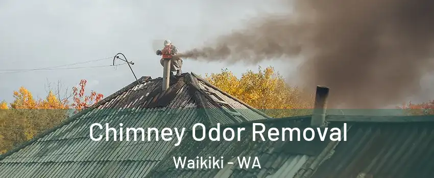 Chimney Odor Removal Waikiki - WA
