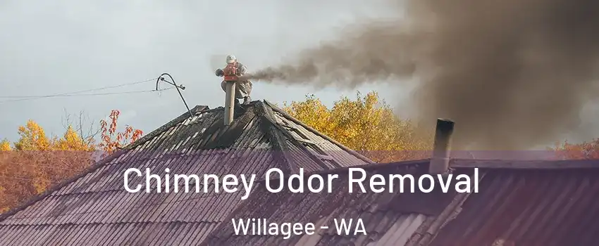 Chimney Odor Removal Willagee - WA