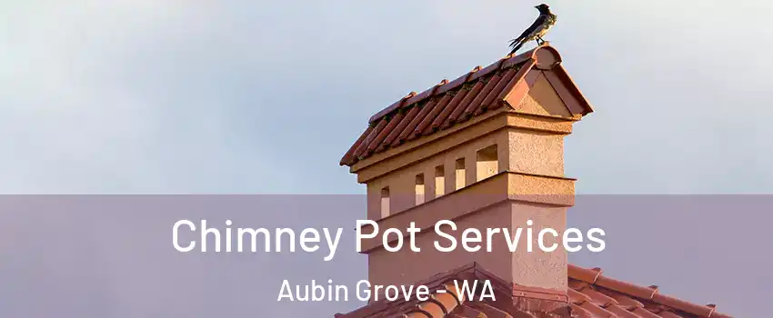  Chimney Pot Services Aubin Grove - WA