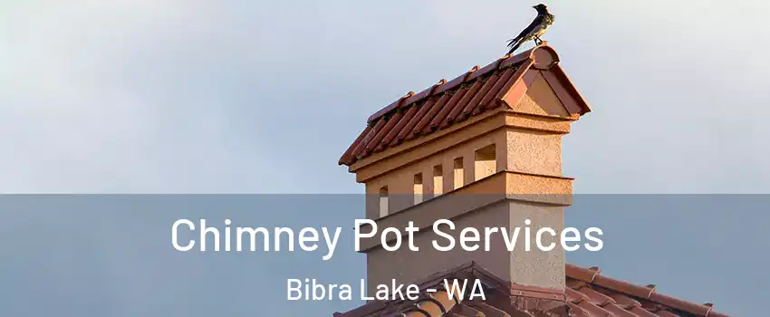 Chimney Pot Services Bibra Lake - WA