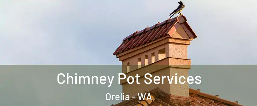 Chimney Pot Services Orelia - WA