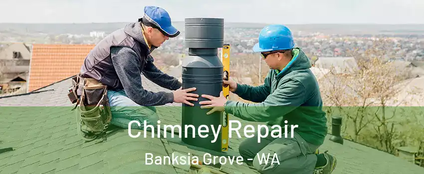Chimney Repair Banksia Grove - WA