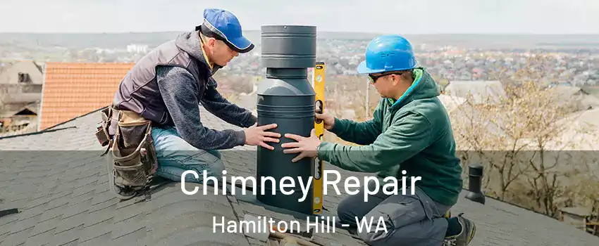 Chimney Repair Hamilton Hill - WA