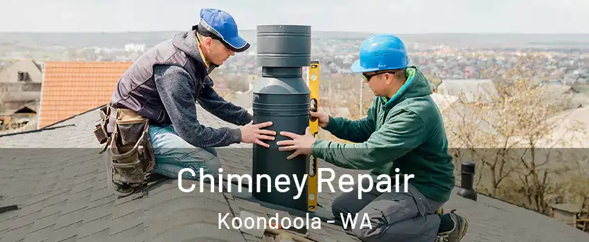 Chimney Repair Koondoola - WA