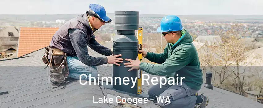 Chimney Repair Lake Coogee - WA