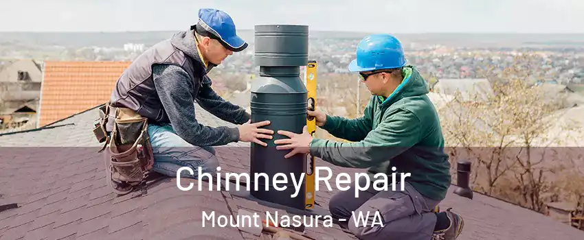 Chimney Repair Mount Nasura - WA