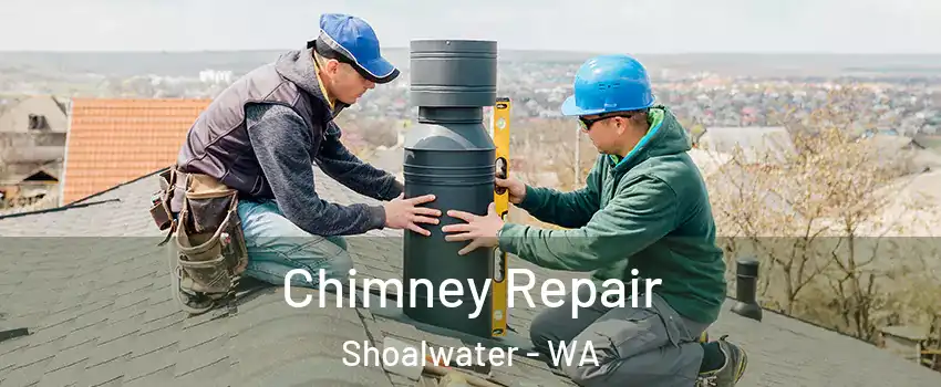 Chimney Repair Shoalwater - WA
