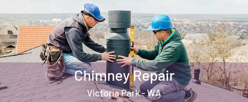 Chimney Repair Victoria Park - WA