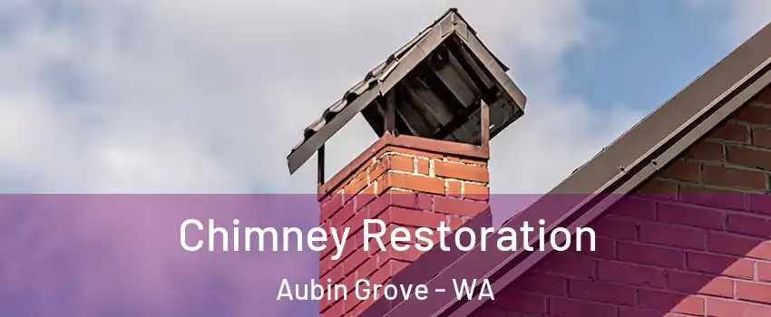 Chimney Restoration Aubin Grove - WA