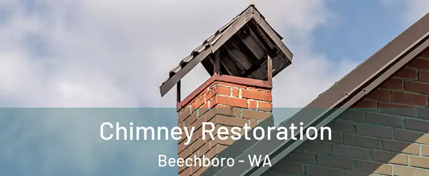 Chimney Restoration Beechboro - WA