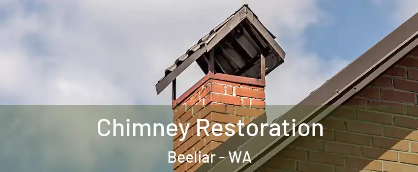 Chimney Restoration Beeliar - WA