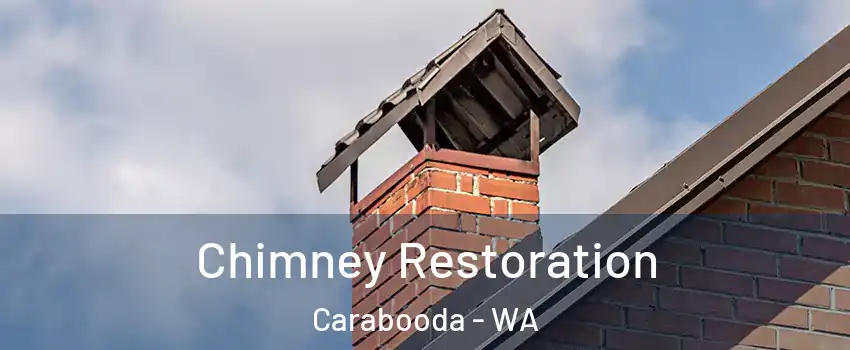Chimney Restoration Carabooda - WA