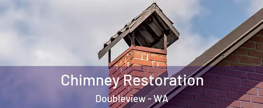 Chimney Restoration Doubleview - WA
