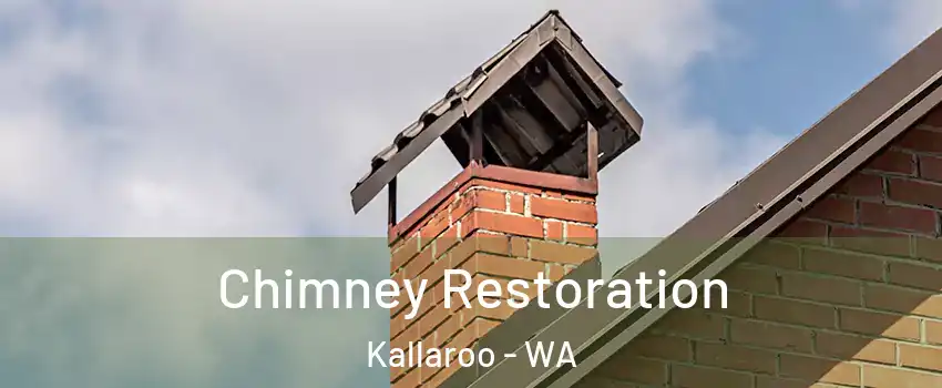 Chimney Restoration Kallaroo - WA