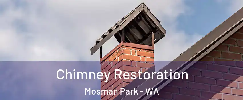Chimney Restoration Mosman Park - WA