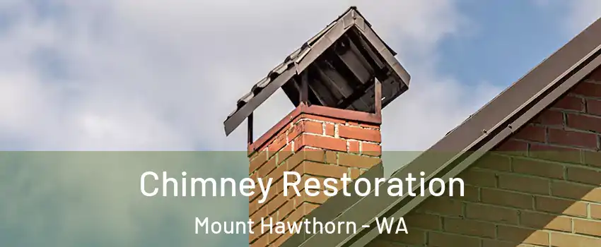 Chimney Restoration Mount Hawthorn - WA