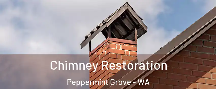 Chimney Restoration Peppermint Grove - WA