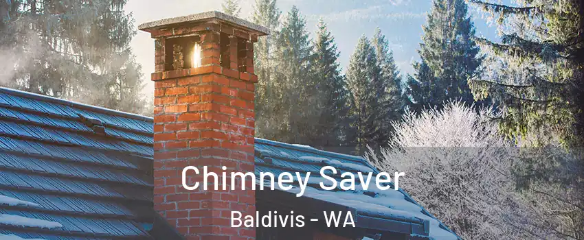 Chimney Saver Baldivis - WA