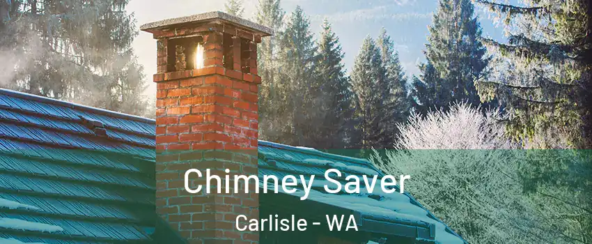 Chimney Saver Carlisle - WA