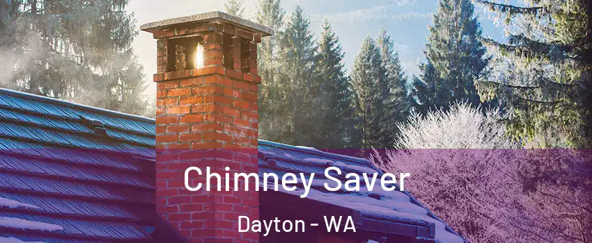 Chimney Saver Dayton - WA