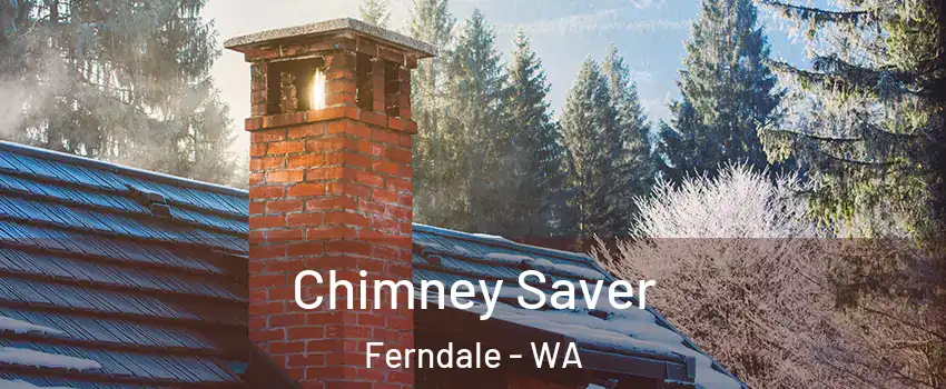 Chimney Saver Ferndale - WA