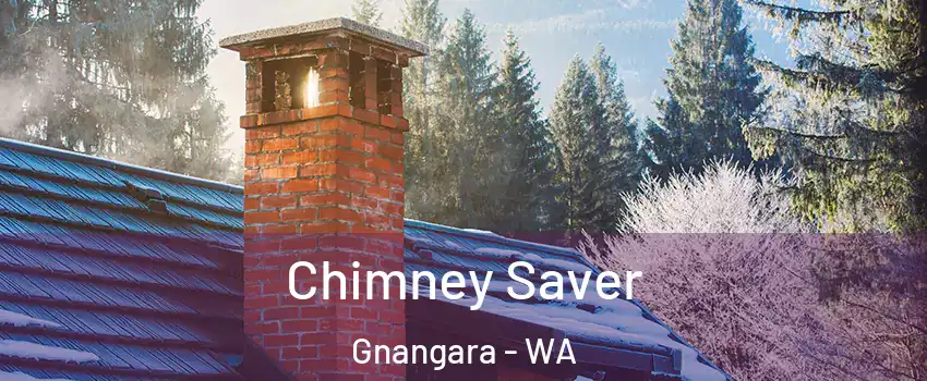 Chimney Saver Gnangara - WA