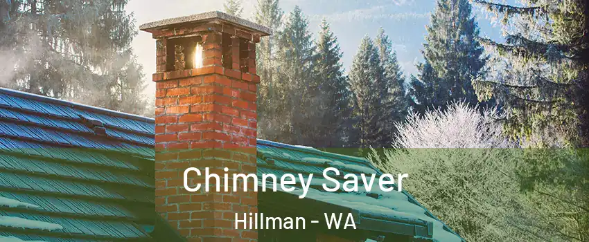 Chimney Saver Hillman - WA