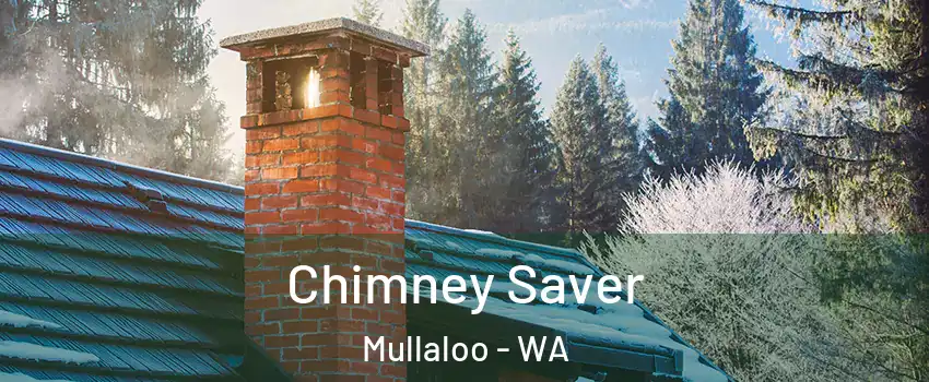 Chimney Saver Mullaloo - WA